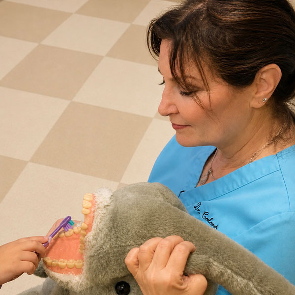 Top Rated Dentist